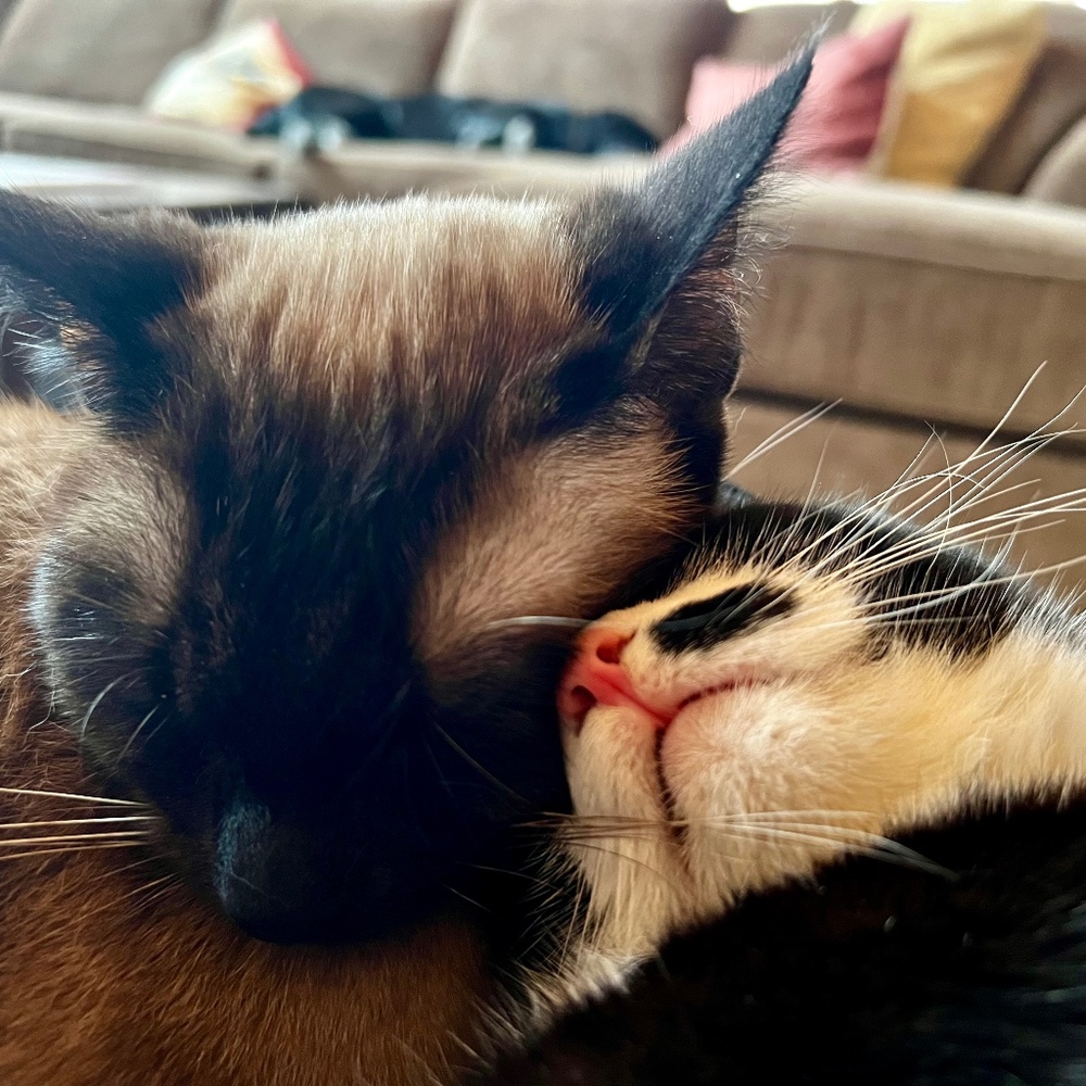 Meet your Posher, Natalie